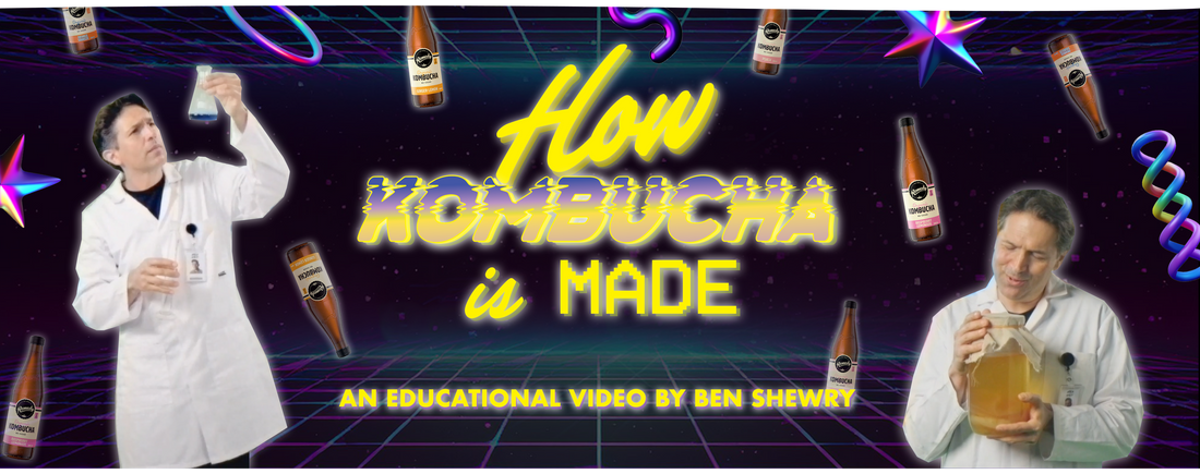 A (FUN) EDUCATIONAL VIDEO ABOUT KOMBUCHA