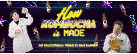 A (FUN) EDUCATIONAL VIDEO ABOUT KOMBUCHA