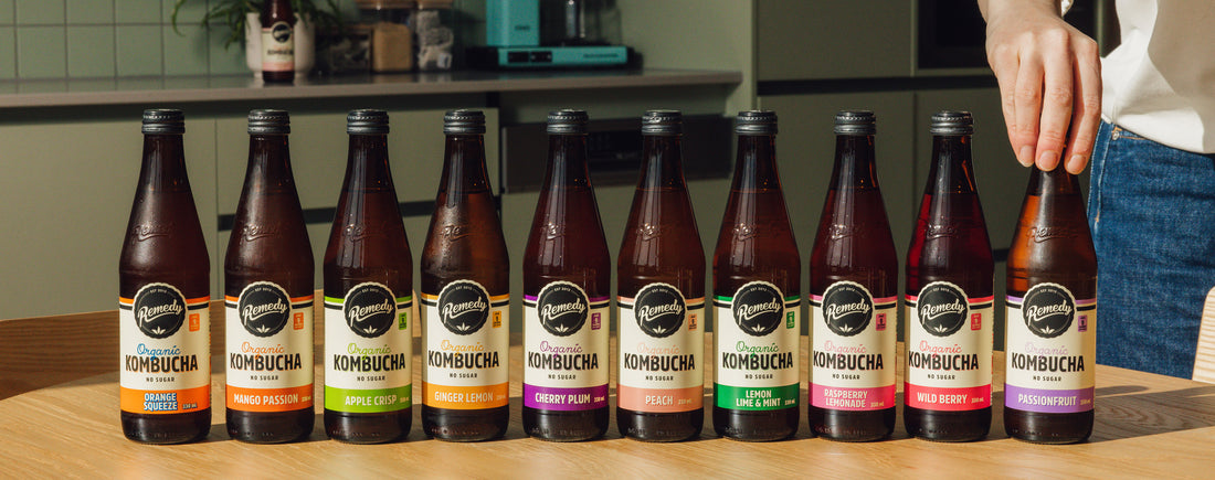 The History of Kombucha