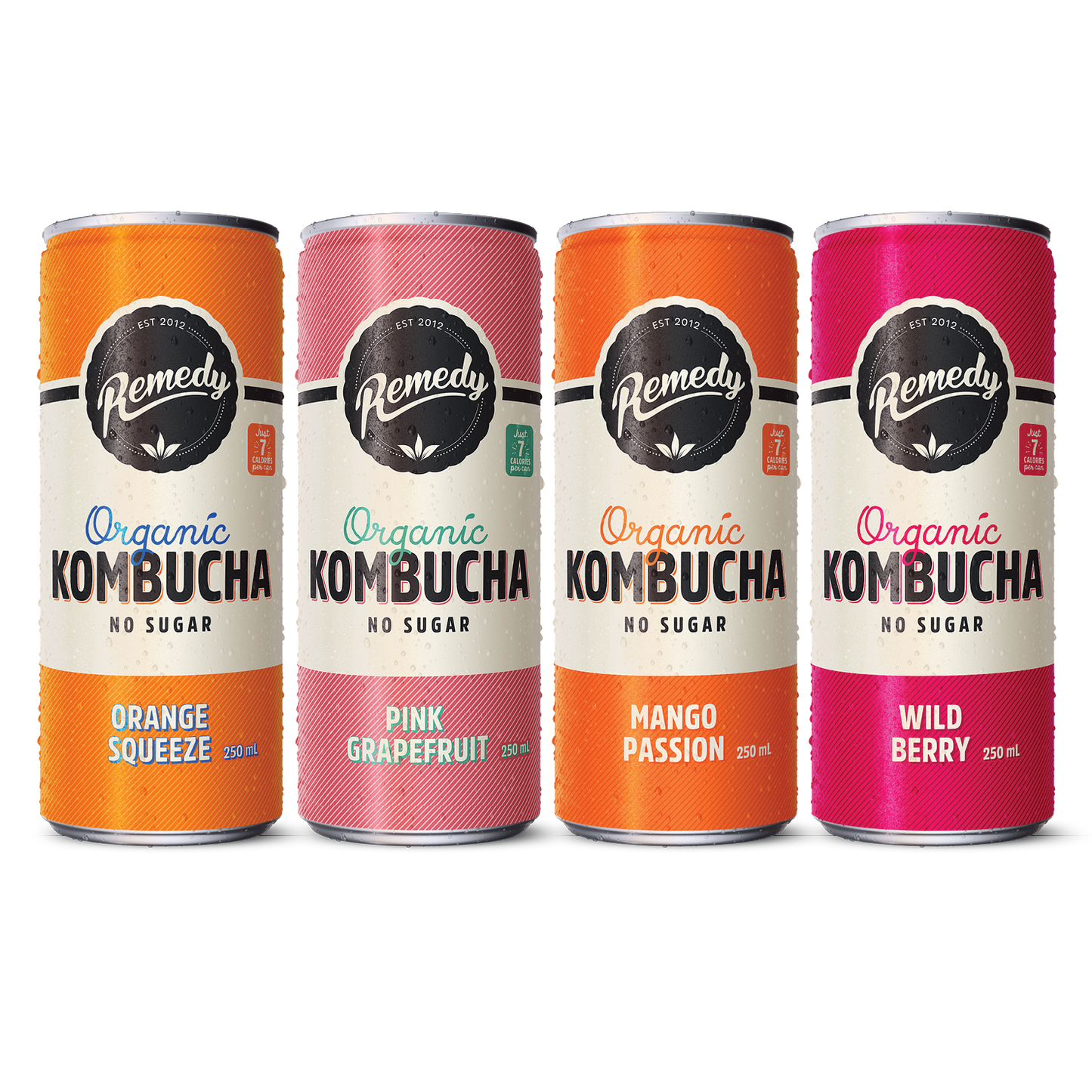 Remedy Kombucha Fruity Faves